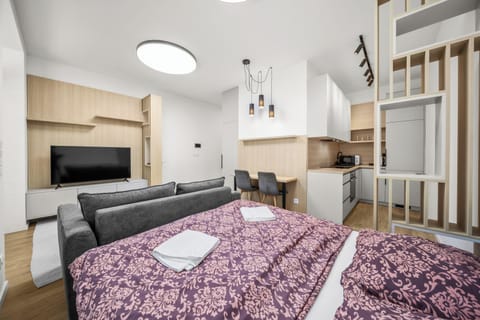 Bright modern studio with kitchenette, TV lounge, and stylish open layout