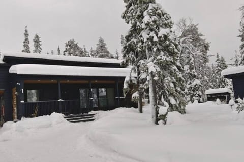 Exterior view of the villa surrounded by snow-covered forest in winter.