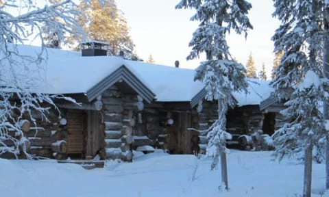 The log cabin surrounded by snow-covered spruce trees in winter.