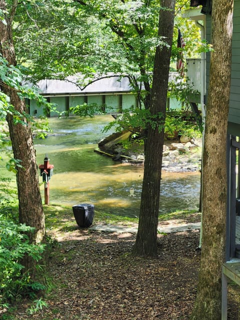 Fantastic River View of the Chattahootchie!!
