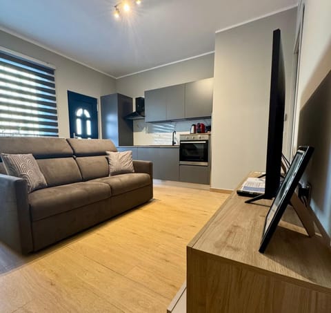 Apartment | Living area | 40-inch LCD TV with digital channels