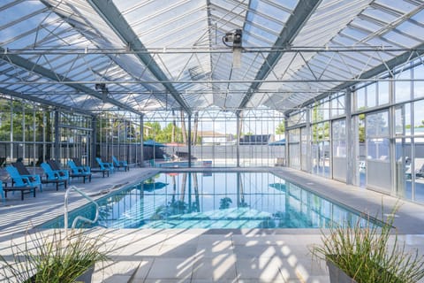 Blue loungers face floor-to-ceiling windows around the heated indoor pool."