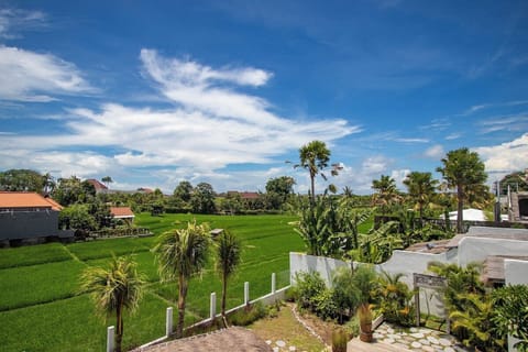 Our rooftop villas offer Ubud-like vibes with their views of the green rice fields