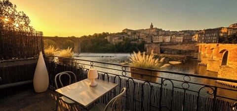 Vue panoramique sur Albi et le Tarn du balcon