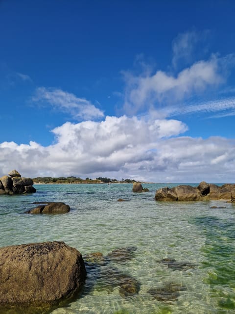 Miscellaneous