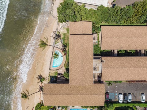 Direct beachfront living