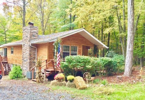 Front in the Fall