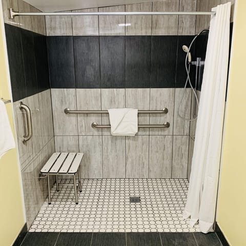 Combined shower/tub, hair dryer