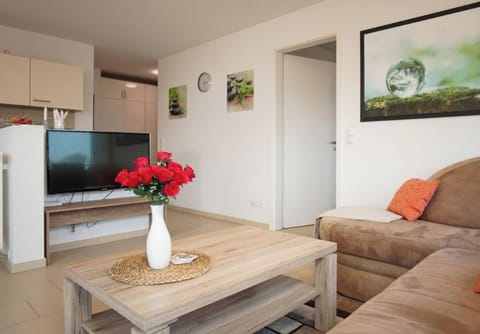 House | Living area
