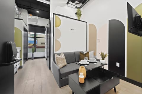 🛋️ A stylish open layout—arched wall accents and a Murphy bed keep the space flexible day to night.