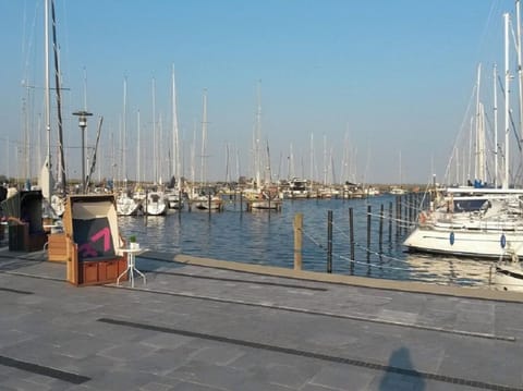 House | Marina