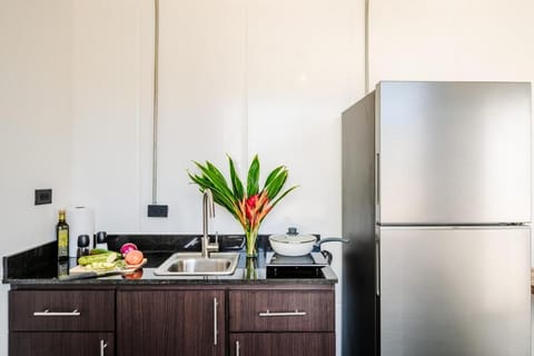 Luxury Apartment, Pool View | Private kitchen | Fridge, stovetop, cookware/dishes/utensils