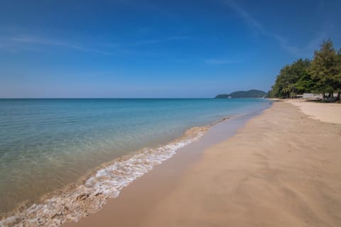 Private beach nearby, kayaking, rowing