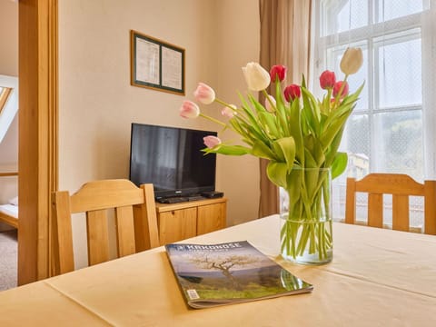 Flower, Plant, Property, Table, Window, Vase, Petal, Picture Frame, Interior Design, Tableware