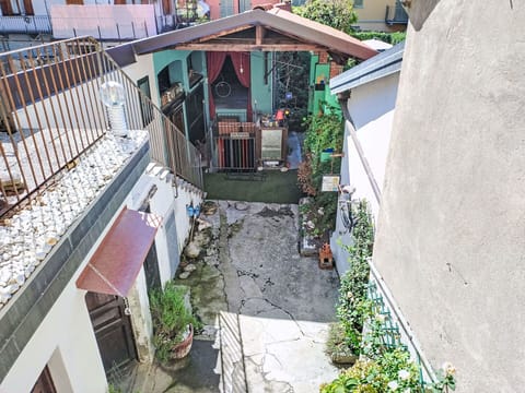 Flowerpot, Houseplant, Balcony, Garden, Backyard, Courtyard, Yard, Alley