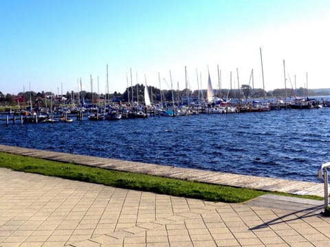House | Marina