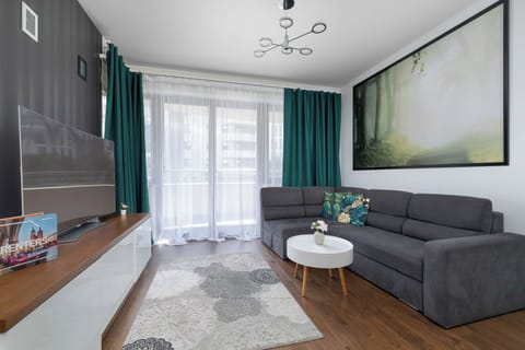 A spacious bedroom featuring a comfortable sofa bed, a TV, and a coffee table. Large windows provide plenty of natural light and make the room feel bright and comfortable.