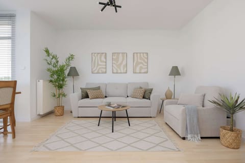 A bright living room featuring a comfortable grey sofa decorated with throw pillows. A small coffee table sits on a patterned rug over a light wooden floor.