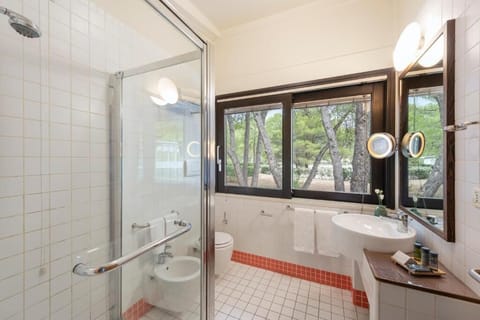 Ecolodge Deluxe Suite | Bathroom | Free toiletries, hair dryer, bidet, towels