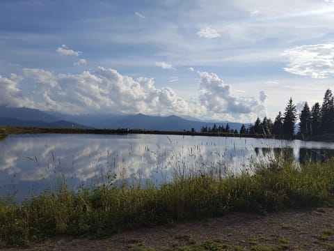 Sky, Blue, Water, Cloud, Water Resources, Body Of Water, Nature, Natural Environment, Green, Natural Landscape