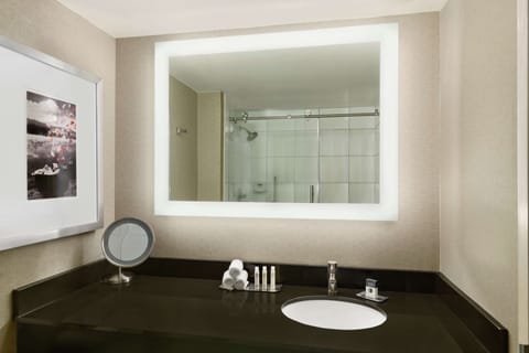 Combined shower/tub, free toiletries, hair dryer, towels