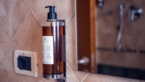 Shower, free toiletries, hair dryer, bidet