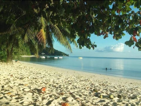 Beach nearby, white sand, beach umbrellas, beach towels