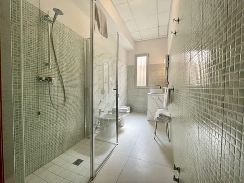 Shower, hair dryer, bidet, towels