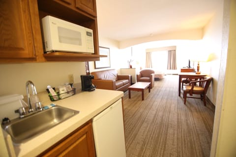 Suite, 1 King Bed, Non Smoking, Refrigerator & Microwave (with Sofabed) | Room amenity