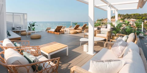 Rooftop terrace