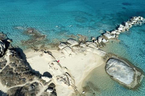 Beach nearby, beach shuttle, beach towels, scuba diving