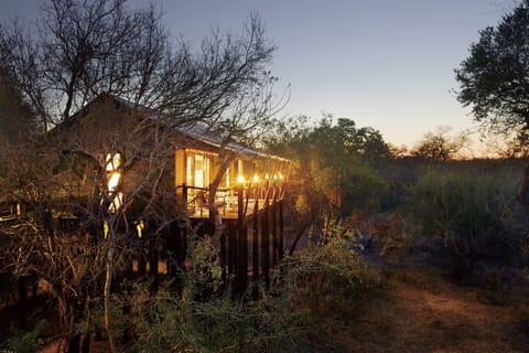 Luxury Tent (Buffalo Camp) | 1 bedroom, premium bedding, minibar, in-room safe