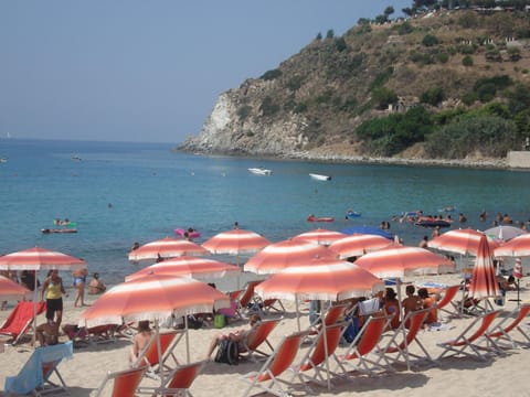 White sand, free beach shuttle, scuba diving
