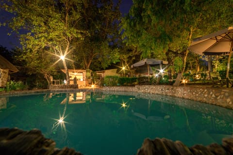 Outdoor pool, pool umbrellas, sun loungers