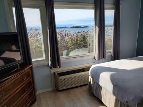 Standard Single Room, 2 Double Beds, Refrigerator & Microwave, Beachfront | Individually decorated, individually furnished, desk, blackout drapes