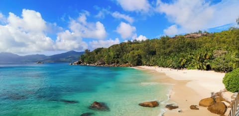 Beach nearby, white sand