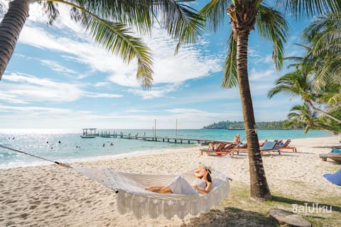 On the beach, sun loungers, beach umbrellas, beach towels