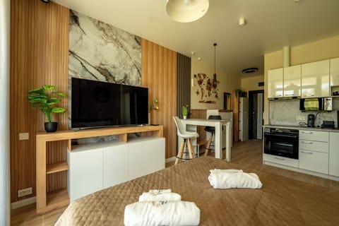 Design Studio | Living area | 49-inch TV with digital channels