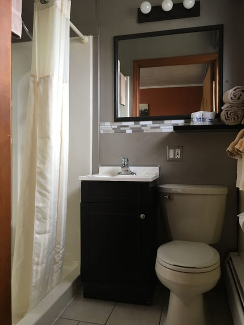 Standard Room, 1 Queen Bed | Bathroom | Shower, hydromassage showerhead, hair dryer, towels