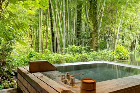Standard Room with Open-Air Bath "Tsuki"  | Minibar, in-room safe, desk, blackout drapes