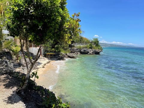 On the beach, scuba diving, snorkeling