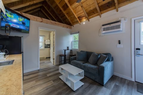 Superior Cottage | Living area | 42-inch flat-screen TV with cable channels, TV