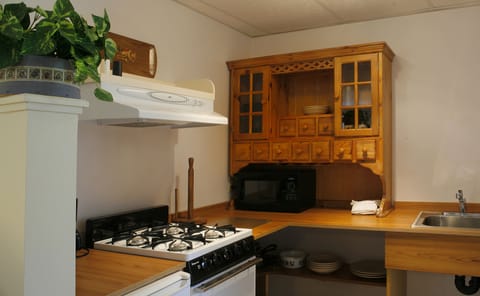 Queen Efficiency, Kitchenette,( #9) (Dog Friendly) | Private kitchen | Fridge, microwave