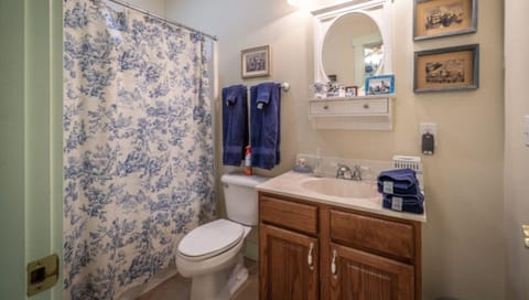 Standard Double Room, Ensuite (The Blue Room)