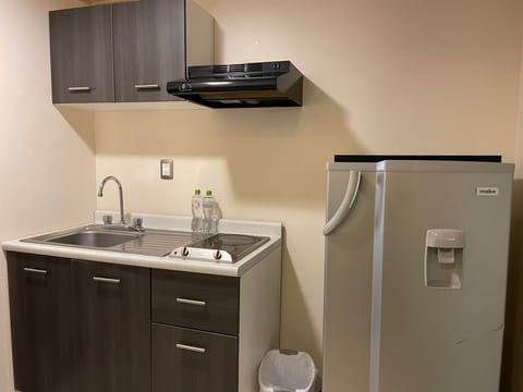 Executive Room | Private kitchen | Full-size fridge, stovetop
