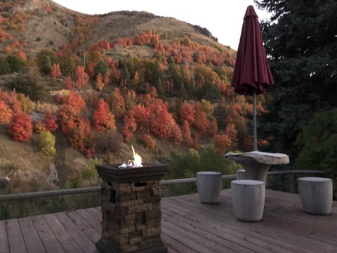 Deluxe Cabin, 1 Bedroom, Non Smoking, Mountain View | Terrace/patio