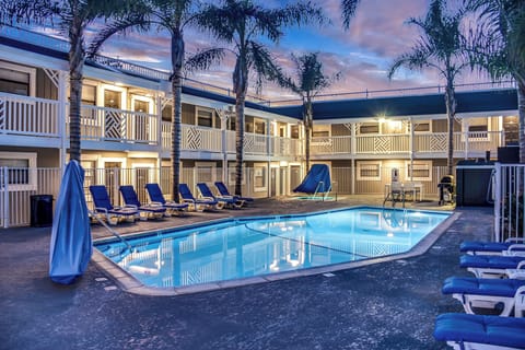 Outdoor pool, sun loungers