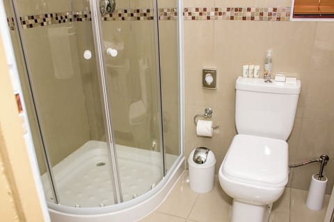 Free toiletries, hair dryer, towels, shampoo