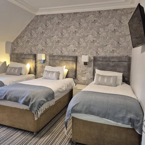 Triple Room, Private Bathroom (Room 2)