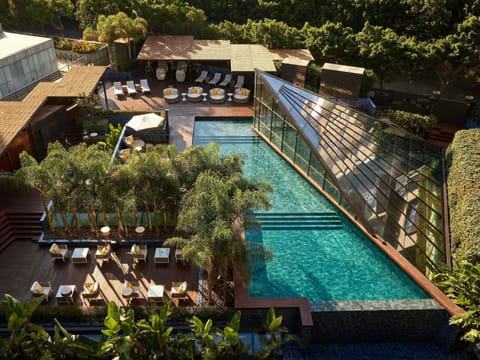 Outdoor pool, sun loungers